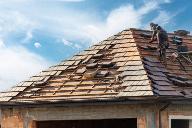 Best Steel Roofing  in Panhandle, TX